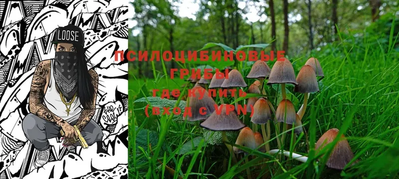 Галлюциногенные грибы MAGIC MUSHROOMS  Кореновск 